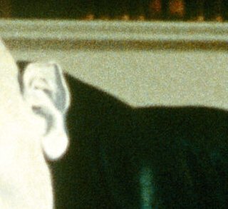 Leçons de ténèbres - Werner Herzog - critique 