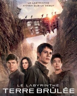 Le labyrinthe : Terre Brûlée : affiches définitive et personnage, bande-annonce finale et le mur des "blocards"