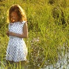 spip-bandeau spip-bandeau