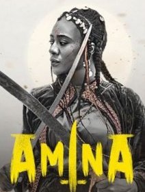 Amina - Izu Ojukwu - critique 