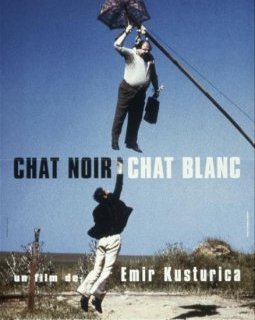 Chat noir, chat blanc - la critique