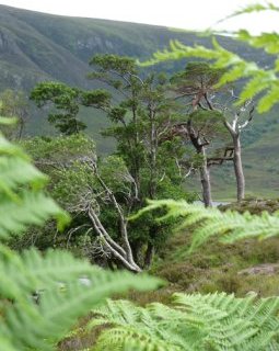 Hommage à Frédéric de Vençay : tu vas nous manquer 