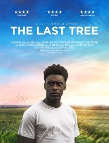 The last tree - Shona Amoo - critique du film