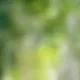 L'illusion de Yakushima - Naomi Kawase - critique
