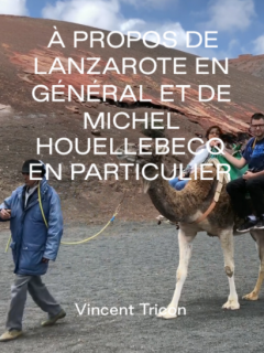 A propos de Lanzarote en général et de Michel Houellebecq en particulier - Vincent Tricon - critique du court métrage