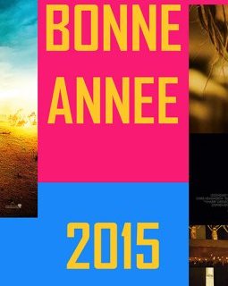 Les films les plus attendus en 2015 (première partie)