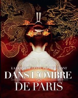 Dans l'ombre de Paris - la critique du livre