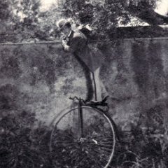 Figaro e la sua gran giornata