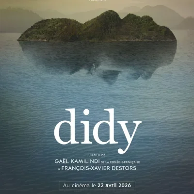 Didy - Gaël Kamilindi, François-Xavier Destors - critique