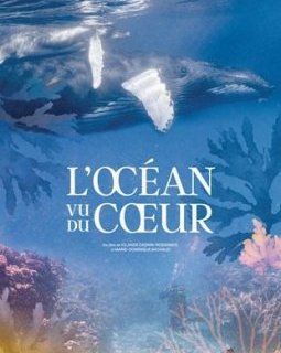 L'Océan vu du cœur - Iolande Cadrin-Rossignol, Marie-Dominique Michaud - critique
