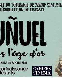 Buñuel après l'âge d'or - la critique du film