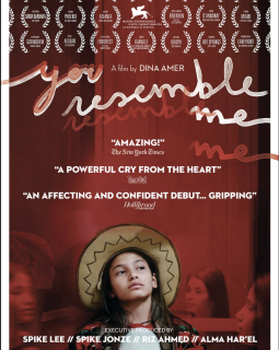 Tu me ressembles - Dina Amer - Critique