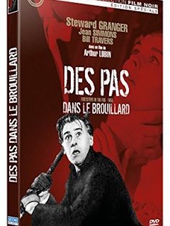 Des pas dans le brouillard - la critique + le test DVD