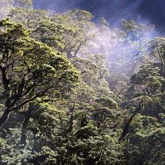 © EuropaCorp Distribution