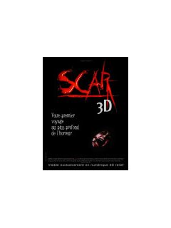 Scar 3D - la critique