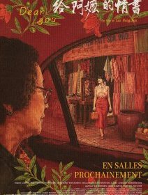 Lettres d'amour de ma grand-mère - Lan Hongchun - critique