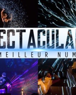 Spectaculaire, la nouvelle émission de divertissement du service public