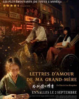 Lettres d'amour de ma grand-mère - Lan Hongchun - critique