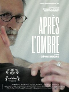 Après l'ombre - Stéphane Mercurio - critique
