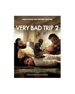 Very bad trip 2 - la critique