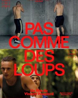 Pas comme des loups - la critique du film