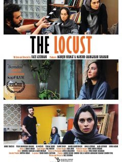The Locust - Faezeh Azizkahni - critique