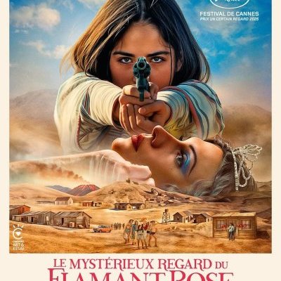 Le Mystérieux regard du flamant rose - Diego Céspedes - critique