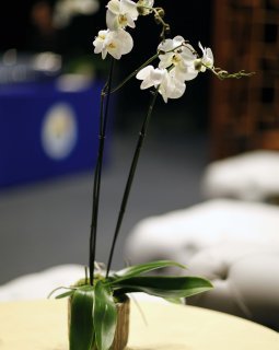 EuropaCorp inaugure le multiplexe nouvelle génération à Aéroville