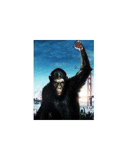 Box-office France du 17/08/2011 : La planète des singes 4e démarrage de l'année