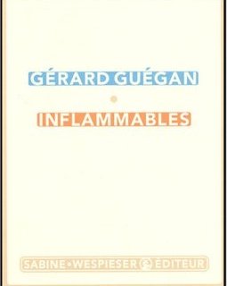 Inflammables - Gérard Guégan