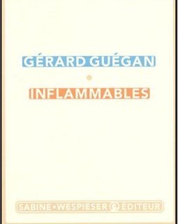Inflammables - Gérard Guégan