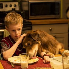 L'Extravagant voyage du jeune et prodigieux T.S. Spivet