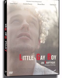 Little Gay Boy un Triptyque - la critique + test DVD 