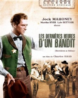 Les dernières heures d'un bandit - la critique du film et le test DVD