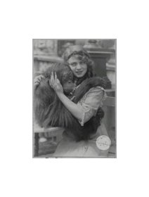 Der geheimnisvolle Klub (Le club mystérieux) - La critique