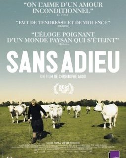 Sans adieu - Christophe Agou - critique
