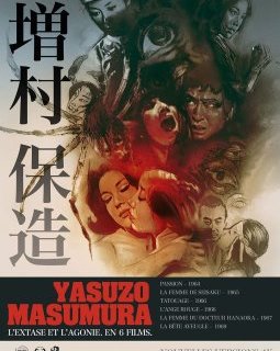 La bête aveugle - Yasuzō Masumura - critique
