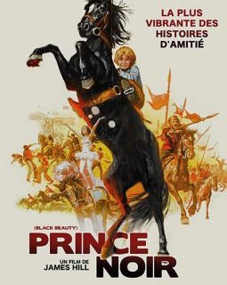 Prince noir - la critique du film + le test DVD