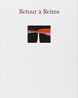Retour à Reims - la critique du livre