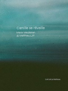 Camille se réveille – Marie Meuleman et Matthieu Litt - la chronique BD