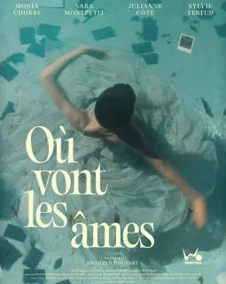 Où vont les âmes ? - Brigitte Poupart - critique