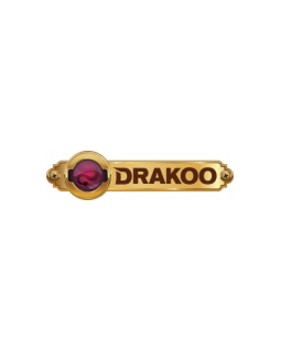 Drakoo, soirée de lancement sous ambiance heroic-fantasy !