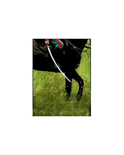 Grève au royaume du rêve