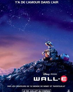 WALL-E - La critique + Test DVD (édition simple)
