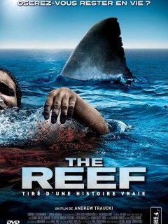 The Reef - la critique + le test DVD