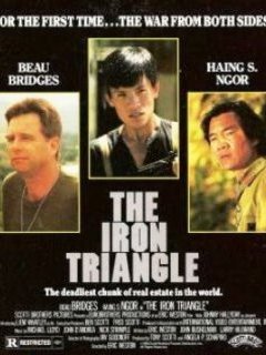 Le triangle de fer (The Iron Triangle) - la critique d'un film rare avec Johnny Hallyday