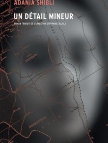Un détail mineur - Adania Shibli - critique du roman