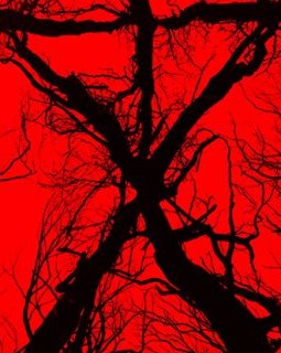 Blair Witch : affiche française, synopsis et première photo