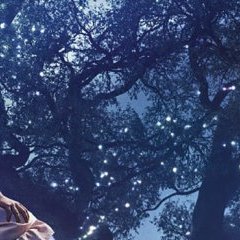 spip-bandeau spip-bandeau