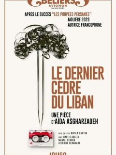 Le dernier cèdre du Liban - la chronique du spectacle